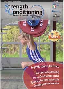 Strength & Conditioning - N° 15