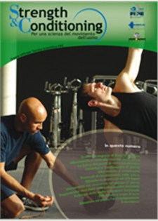 Strength & Conditioning - N° 1