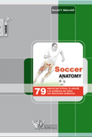 Soccer anatomy