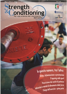 Strength & Conditioning - N° 19