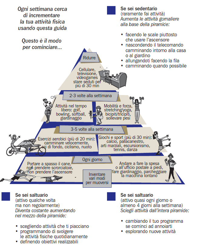 L Educazione Fisica Lo Stile Di Vita Attivo E La Sedentarieta In Eta Evolutiva Calzetti Mariucci Editori